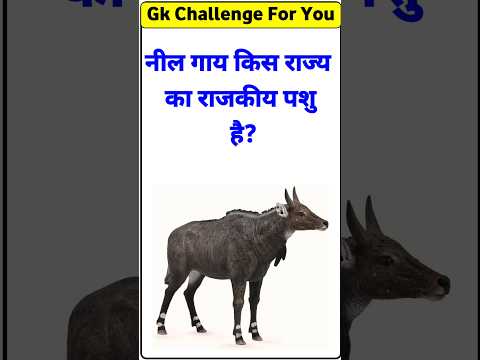 Gk Questions || 🤔 || Gk In Hindi || Gk Quiz || #salvigkstudy #gkfacts #gk #gkinhindi #gkquiz || 338