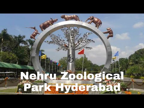 Nehru Zoological Park Hyderabad | full vlog hyderabad Nehru zoological park 2020 | AR Mix Club |