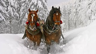 Celtic Christmas Carols, Soft Holiday Christmas Music "Winter Sleigh Ride" Open Road Folk Music