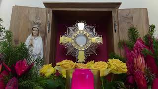 Live-Eucharistic Adoration from 3ltv Vienna, Austria