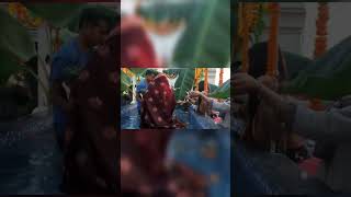 Chhath puja #shorts #ytshortsindia #ytshorts #viral #subscribe #chhathpuja2022 #chhath