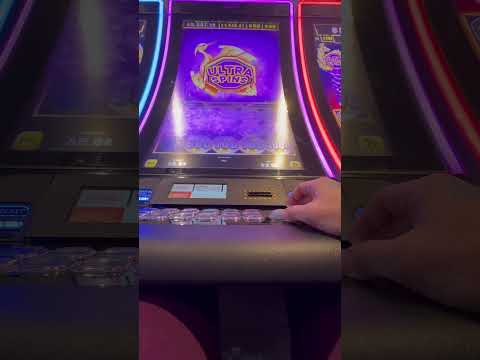 Bao zhu zhao fu bonus #TivertonCasino #casino