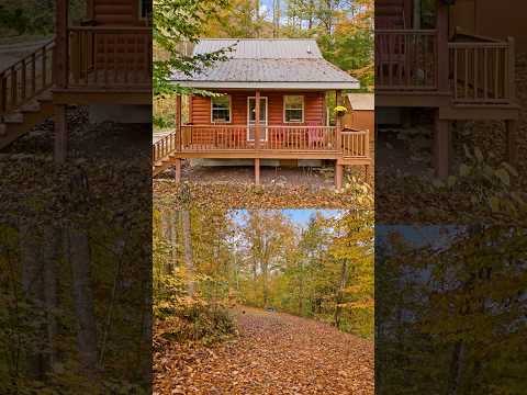 $200,000 Kentucky Cabin | 5 Acres | 324 Trillium Ln, East Bernstadt, KY 40729