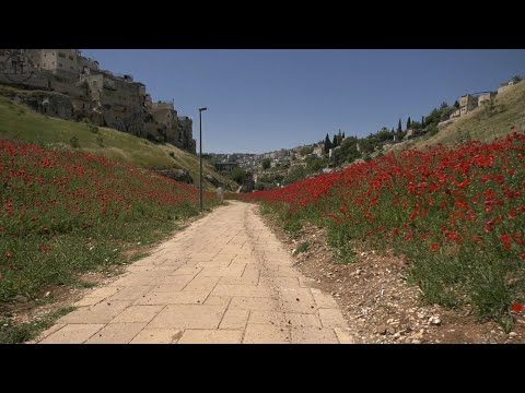 Kidron valley during the temple period