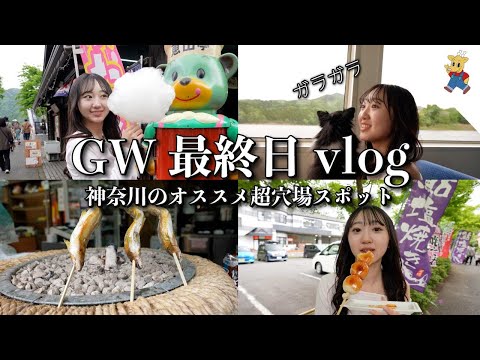 vlog🐶JKももかのGW最終日はこんな感じでした🚢 宮ヶ瀬湖【MOMOLOG_180】