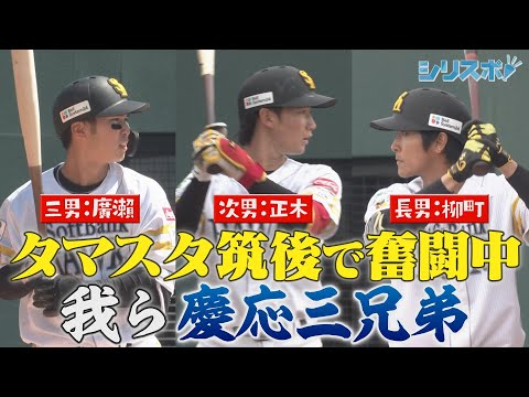 柳町＆正木＆廣瀨　タマスタで奮闘中の慶応三兄弟【シリスポ！ホークスこぼれ話】