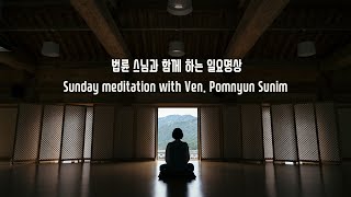 Recorded Sunday Meditation with Ven. Pomnyun Sunim (법륜스님) Week 241 (11/17/2024)