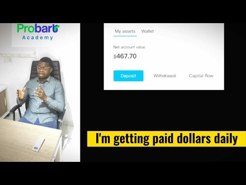 Learn how to Start a Business that pays you in Dollars daily this year 2023 | Join PROBART ACADEMY