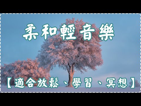 柔和輕音樂【適合放鬆、學習、冥想】 鋼琴曲 輕鬆音樂 【1小時】Sleeping Music, Relaxing Music, Insomnia