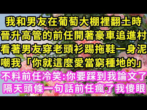 我和男友在葡萄大棚裡翻土時，晉升高管的前任開著豪車追進村，看著男友穿老頭衫踢拖鞋一身泥嘲我「你就這麼愛當窮種地的」不料前任冷笑:你要踩到我論文了。隔天頭條一句話前任瘋了我傻眼#甜寵#灰姑娘#霸道總裁