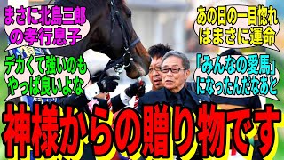 【競馬の反応集】「キタサンブラックという神様からの贈り物」に対する視聴者の反応集