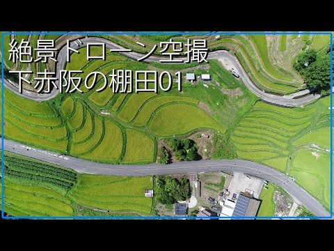 絶景ドローン空撮｜真夏の下赤阪の棚田 大阪府南河内郡千早赤阪村大字森屋 日本の観光旅行のドローン撮影動画