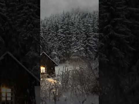 silent night snow falling christmas video #snowynight #peacefulchristmas #christmas #snow #snow