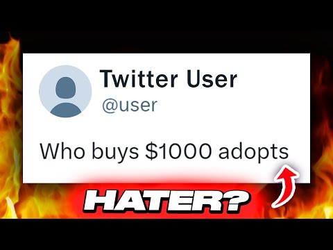 Twitter UPSET Over $1000 Character Adopt...