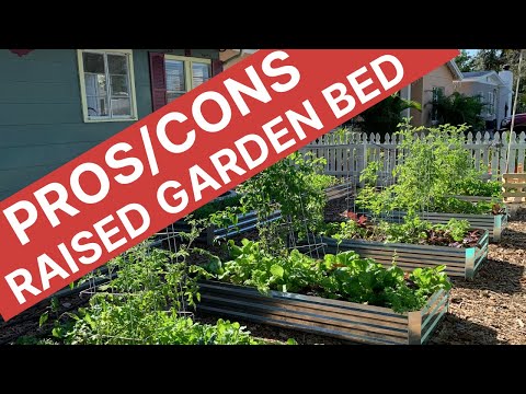 Raised Garden Beds for Florida Gardening