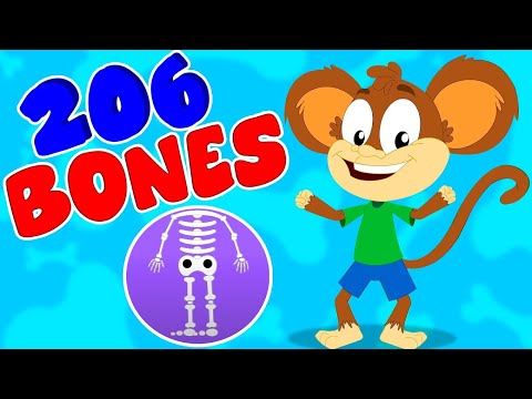 Bones In Your Body, Parts Of The Body and Kindergarten Rhymes for Kids