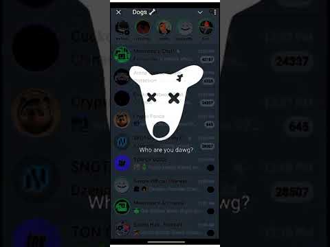 How to fix who are you dwgs, dogs telegram airdrop