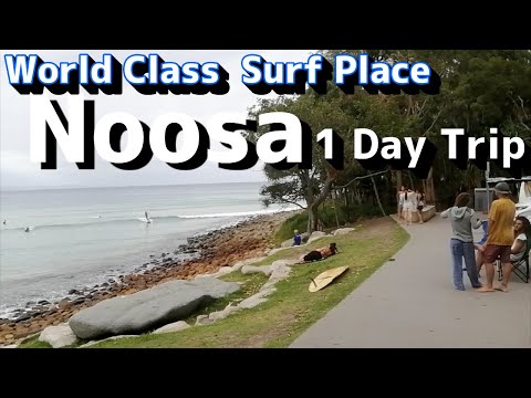 Noosa day trip Food&Surf ヌーサ