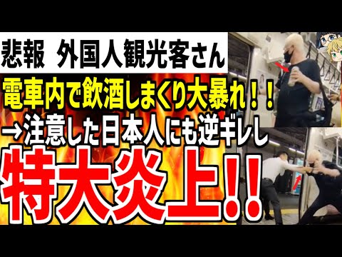 【外国人観光客さん】電車内で飲酒をし日本人に注意されるも逆ギレ！手を出す喧嘩にまで発展し大炎上してしまう...【ゆっくり解説】