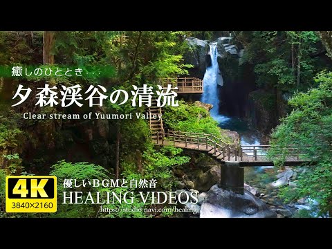 [Healing BGM and natural sounds] Yumori Valley and fresh greenery with plenty of negative ions