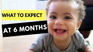 6 Month Developmental Milestones | Baby Developmental Milestones