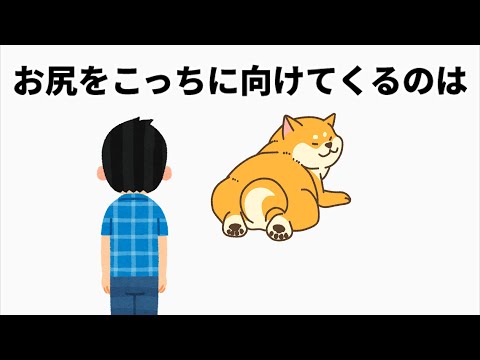 犬の気持ちが分かる雑学#雑学