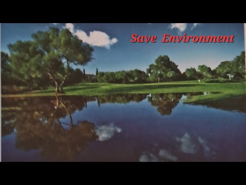 Save Environment #2024 #cbse #viral #youtubevideos