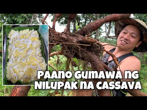 Paano Gumawa ng Nilupak na Cassava | Buhay Bukid ng OFW