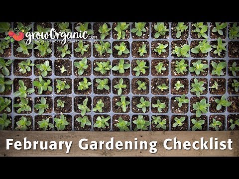 February Gardening Checklist - 10 Tips To Help Get Your Organic Garden Ready For Spring