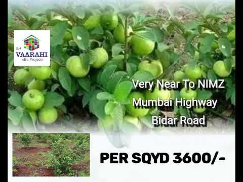 Farm Lands @ Zaheerabad! Offer Price Only 3600/- Per SqYd! 2 Guntas Land Only 9 Lakhs! Beside NIMZ