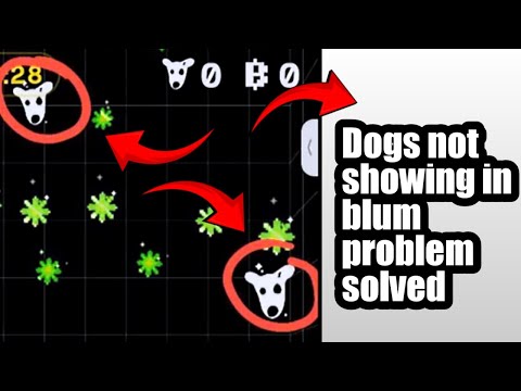 Dogs Not Showing In Blum Problem Solved