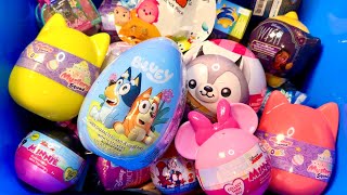 11 minutes MYSTERY SURPRISE TOYS Snackles ASMR Unboxing Mystery eggs