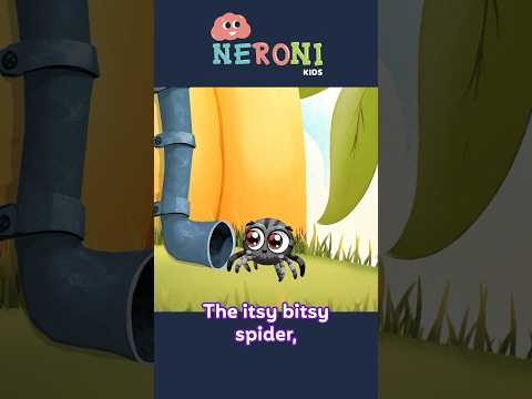 Itsy Bitsy Spider - Animated Nursery Rhyme! Watch more on Neroni kids YT channel #itsybitsyspider