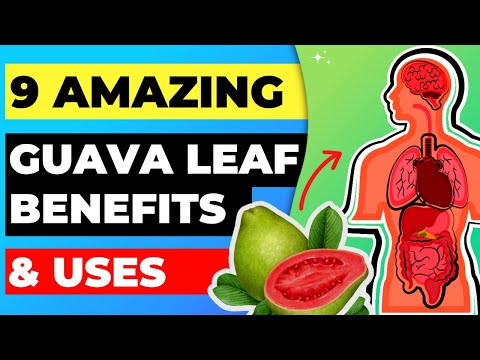 9 Amazing Guava Leaf Benefits and Uses