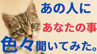 あの人にあなたの事を全部聞いてみた。驚きの本音🫢‼️恋愛タロット占い オラクルカード 個人鑑定級に深掘りリーディング