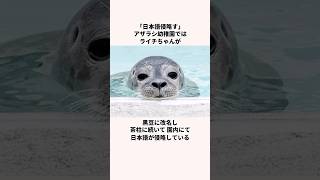 「日本語侵略す」アザラシ幼稚園についての雑学