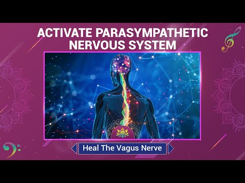 Activate Parasympathetic Nervous System - Heal The Vagus Nerve - Boost Ultimate Calm & Stress Relief