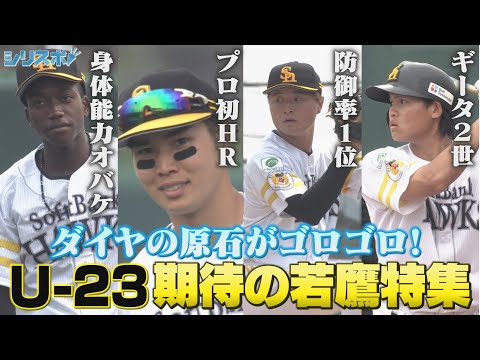 ホークスにダイヤの原石たくさん！23歳以下 期待の若鷹特集【シリスポ！ホークスこぼれ話】