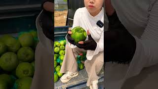 @(O3xhqbb3ibyungcs) Green Treasure Melon