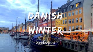 Danish Winter Dream: An Experience You'll Never Forget