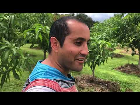 Exploring a Beautiful Tropical Fruit Farm in Florida!