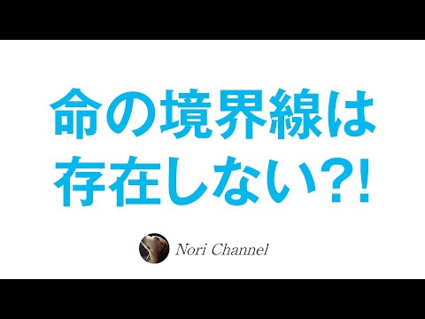 命の境界線は存在しない！？宇宙のすべては生命体であり集合意識なのです