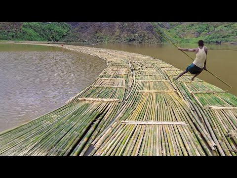 Genius Solution They Found to Move Millions of Bamboo Down River