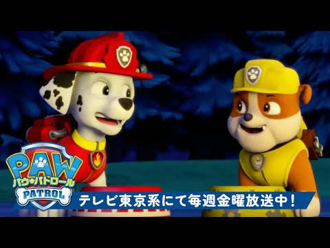 パウ・パトロール | マーシャル＆ラブルの仲良しな瞬間！| テレビ東京系にて放送中