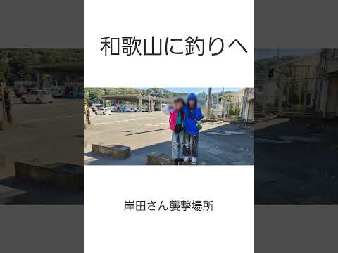 和歌山に釣りへ　#和歌山 #釣り