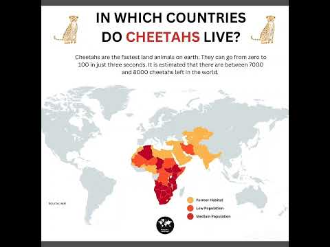 In which countries do Cheetahs live? #map #countries #cheetah #live #youtubeshorts