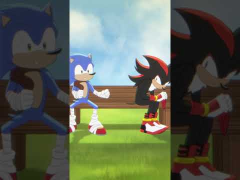 POV Sonic and Shadow (Sonic the Hedgehog)