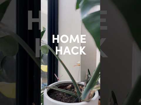 ANTI MOSQUITO HOME HACK | Truly Tara