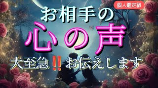 【※ガチ】お相手の心の声😳大至急‼️お伝えします💗恋愛タロット