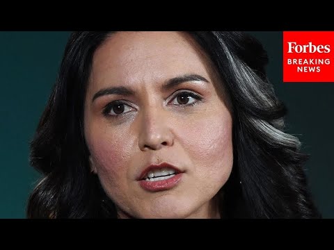 SUPERCUT: Key Moments Of Tulsi Gabbard—Trump's Choice For DNI—During The Biden Administration